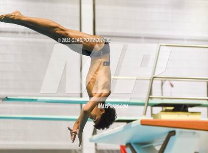 Thumbnail 1 in UIL 6A Swimming & Diving Finals photogallery.