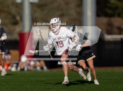 Thumbnail 3 in Buchholz @ Oak Hall photogallery.