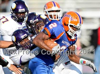 Thumbnail 2 in Westhill @ Danbury photogallery.