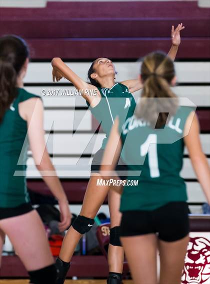 Thumbnail 1 in JV: Cornwall Central photogallery.