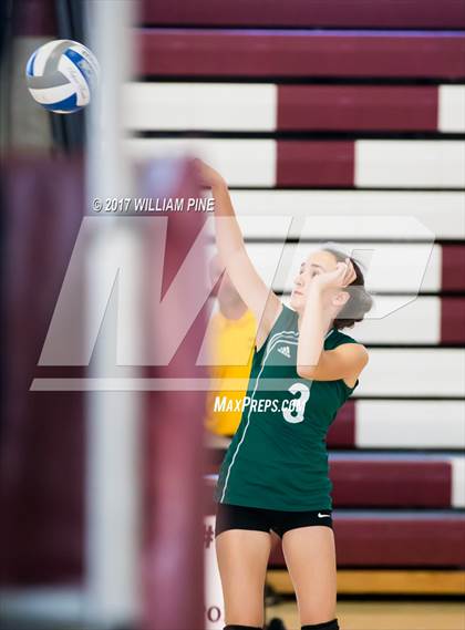 Thumbnail 1 in JV: Cornwall Central photogallery.