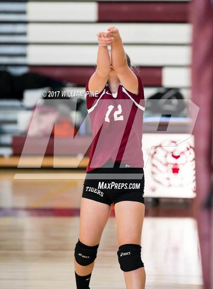 Thumbnail 2 in JV: Cornwall Central photogallery.