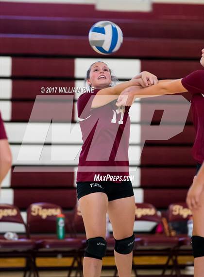 Thumbnail 3 in JV: Cornwall Central photogallery.