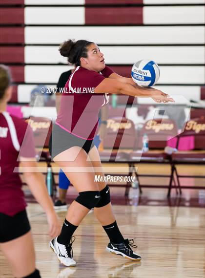 Thumbnail 2 in JV: Cornwall Central photogallery.