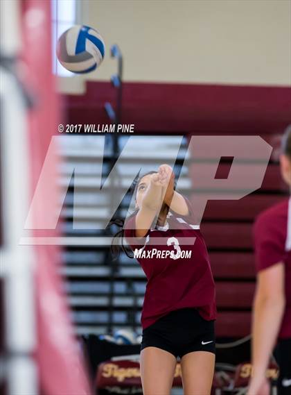 Thumbnail 3 in JV: Cornwall Central photogallery.