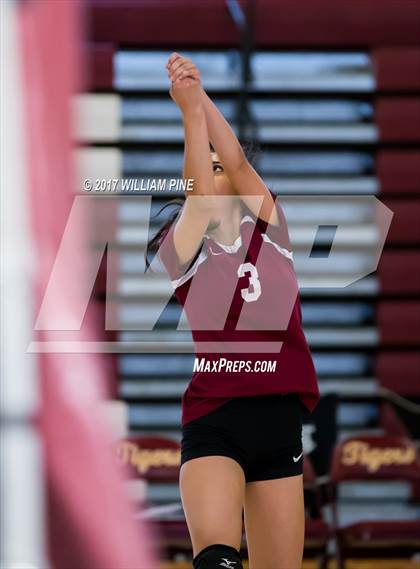 Thumbnail 2 in JV: Cornwall Central photogallery.