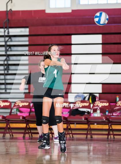 Thumbnail 2 in JV: Cornwall Central photogallery.