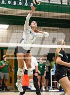 Photo from the gallery "North Central @ Westfield"