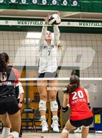 Photo from the gallery "North Central @ Westfield"