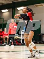 Photo from the gallery "North Central @ Westfield"