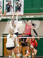Photo from the gallery "North Central @ Westfield"