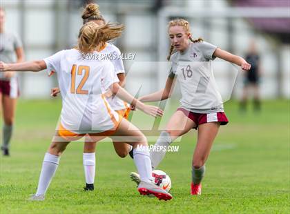 Thumbnail 2 in Sullivan Central @ Dobyns-Bennett (Scrimmage) photogallery.