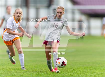 Thumbnail 1 in Sullivan Central @ Dobyns-Bennett (Scrimmage) photogallery.