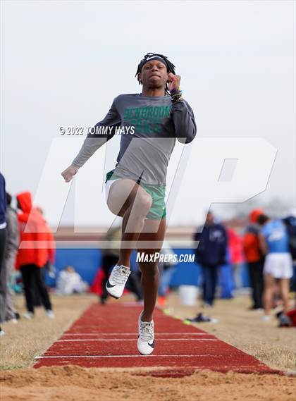 Thumbnail 3 in Brock Track Meet (Field Jumping Events) photogallery.