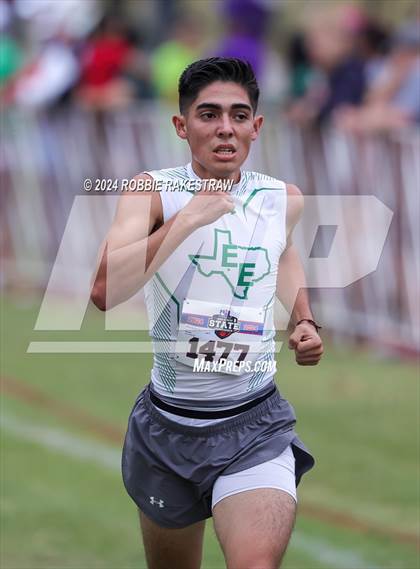Thumbnail 1 in UIL Cross Country 2A Finals (5K) photogallery.