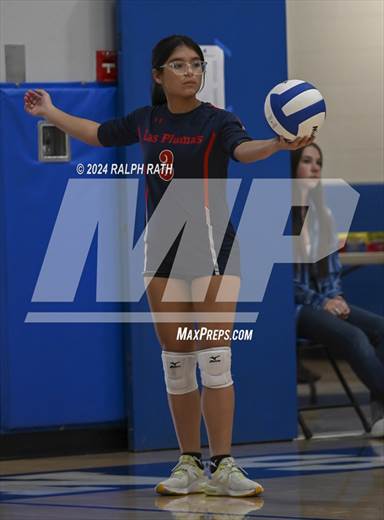 null - Photo 01