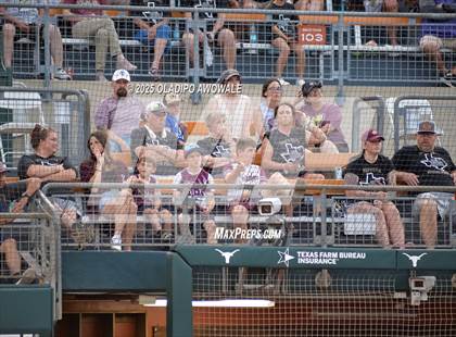 Thumbnail 2 in Grandview vs. Whitesboro (UIL Softball 3A Div 1 Final) photogallery.