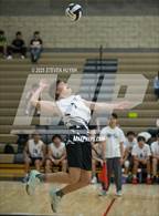 Photo from the gallery "Nelson @ Clackamas"