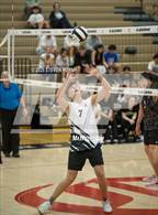 Photo from the gallery "Nelson @ Clackamas"