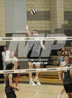 Photo from the gallery "Nelson @ Clackamas"