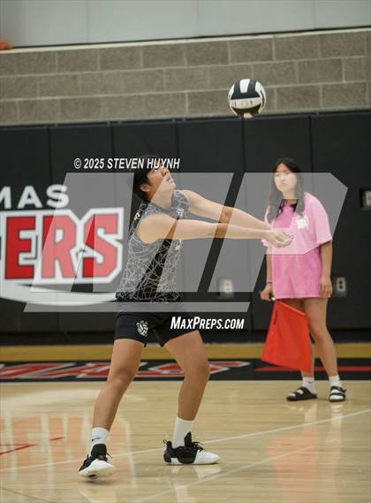 Thumbnail 2 in Nelson @ Clackamas photogallery.
