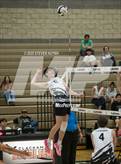 Photo from the gallery "Nelson @ Clackamas"
