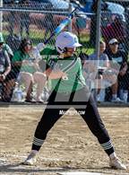 Photo from the gallery "Calhoun @ Carrollton (IHSA 1A Sectional Championship)"