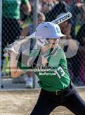 Photo from the gallery "Calhoun @ Carrollton (IHSA 1A Sectional Championship)"