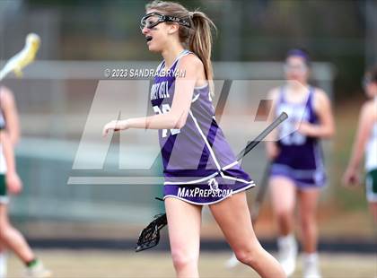 Thumbnail 3 in Ardrey Kell @ Independence photogallery.