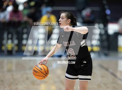 Thumbnail 1 in Luella vs Marist (GHSA 4A Final) photogallery.