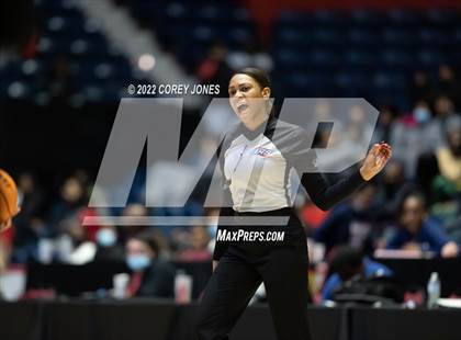 Thumbnail 1 in Luella vs Marist (GHSA 4A Final) photogallery.