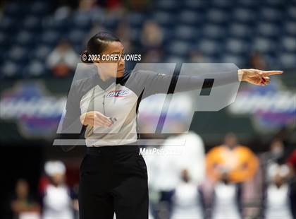 Thumbnail 2 in Luella vs Marist (GHSA 4A Final) photogallery.