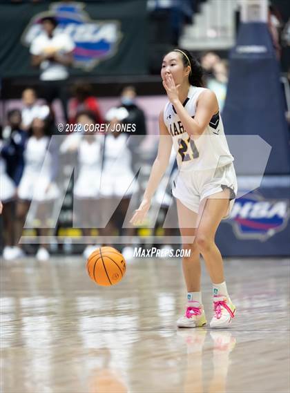 Thumbnail 3 in Luella vs Marist (GHSA 4A Final) photogallery.