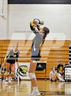 Photo from the gallery "Pamlico County @ Croatan"