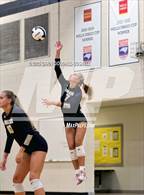 Photo from the gallery "Pamlico County @ Croatan"