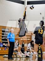 Photo from the gallery "Pamlico County @ Croatan"