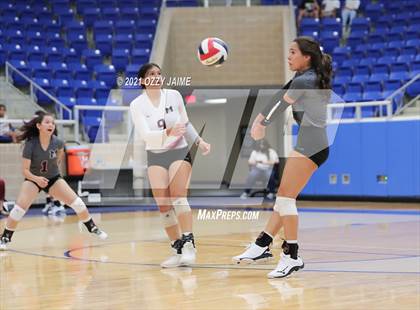 Thumbnail 1 in MacArthur vs. Marshall photogallery.