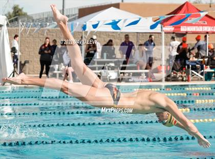 Thumbnail 1 in AIA D1 Swim Finals photogallery.