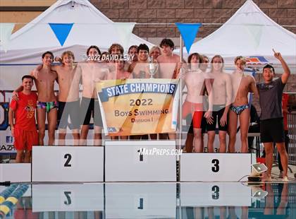 Thumbnail 2 in AIA D1 Swim Finals photogallery.