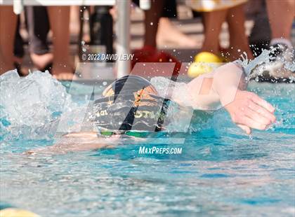Thumbnail 2 in AIA D1 Swim Finals photogallery.