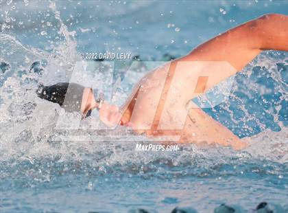 Thumbnail 2 in AIA D1 Swim Finals photogallery.