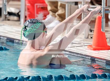 Thumbnail 2 in AIA D1 Swim Finals photogallery.