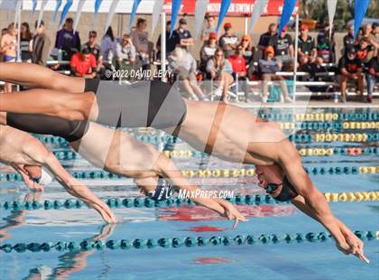 Thumbnail 1 in AIA D1 Swim Finals photogallery.