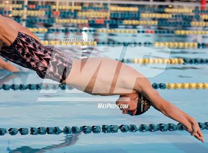 Thumbnail 2 in AIA D1 Swim Finals photogallery.
