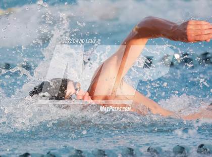 Thumbnail 3 in AIA D1 Swim Finals photogallery.