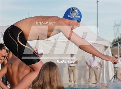 Thumbnail 1 in AIA D1 Swim Finals photogallery.