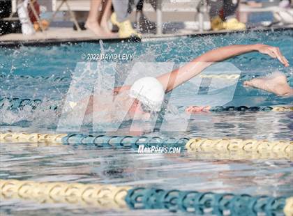 Thumbnail 3 in AIA D1 Swim Finals photogallery.