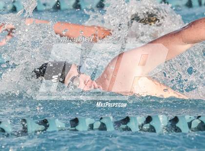 Thumbnail 3 in AIA D1 Swim Finals photogallery.