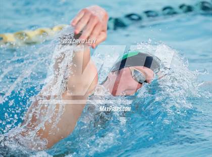 Thumbnail 3 in AIA D1 Swim Finals photogallery.