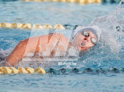 Thumbnail 1 in AIA D1 Swim Finals photogallery.